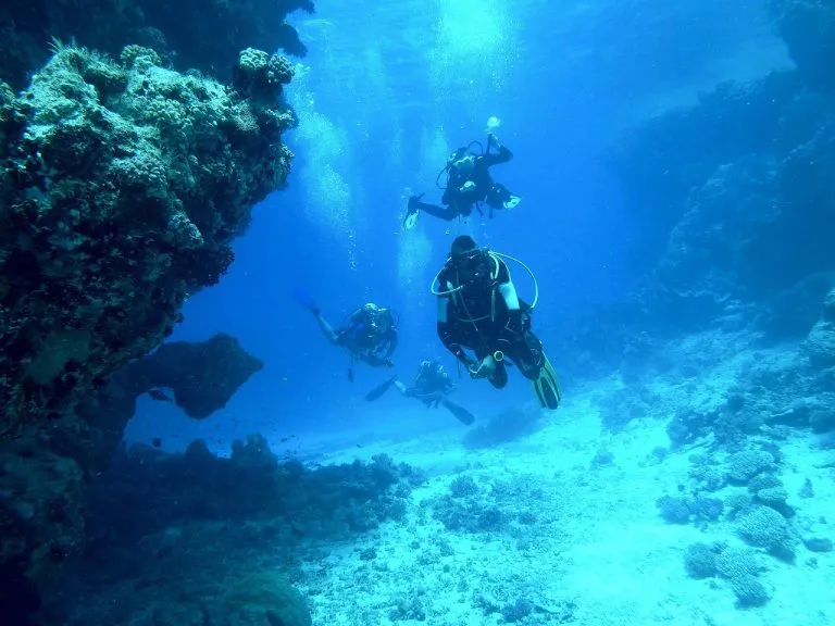 Scuba Diving Lisbon