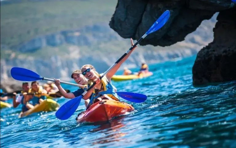 Kayak paddle