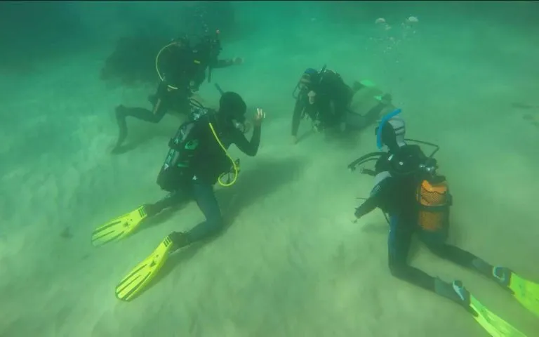 Scuba