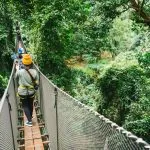 Avventura in cima all'albero