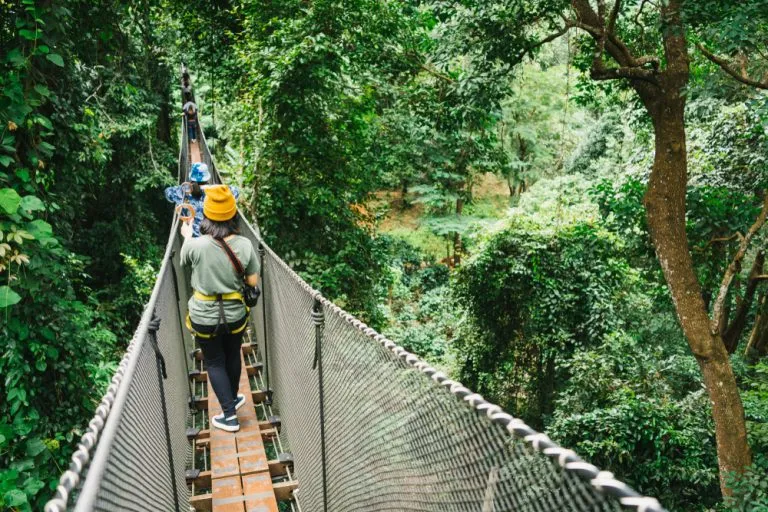 Tree top adventure