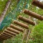Avventura in cima all'albero