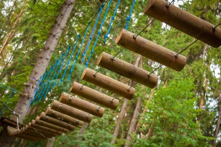 Tree top adventure