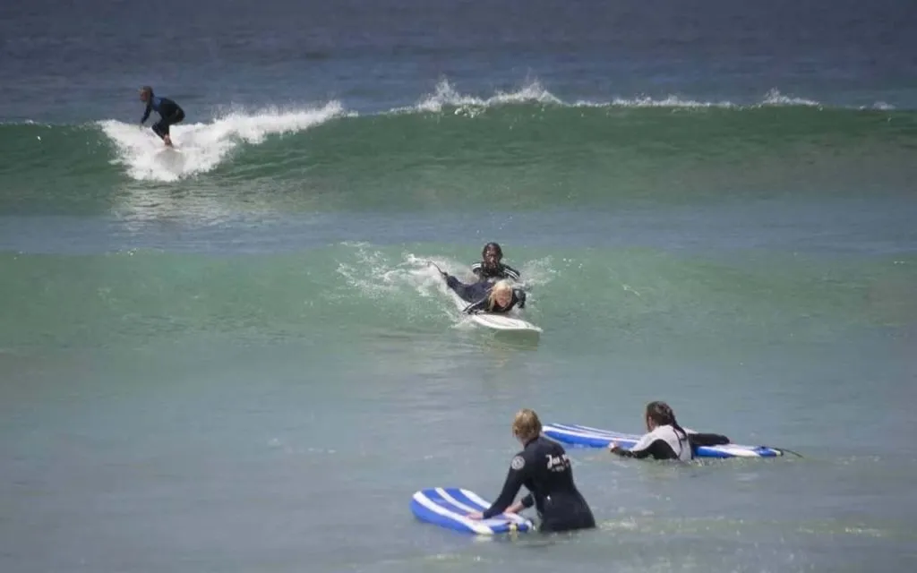 Surf