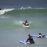 Surf