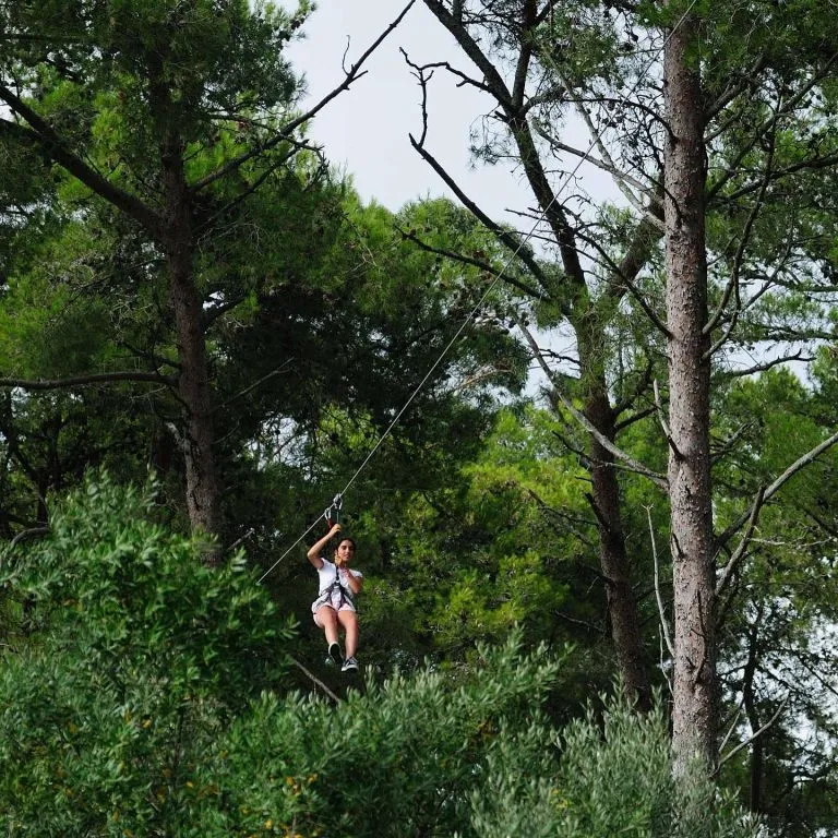 Treetop adventure mega circuit